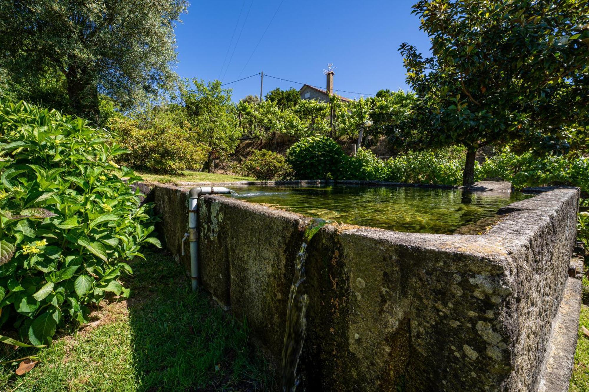 Eido Oliveira - Casa De Campo - Ponte De Lima Anais Екстер'єр фото